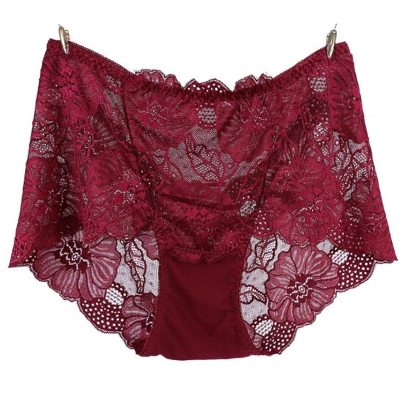 Lace Brief Panties - Picture 5 of 9